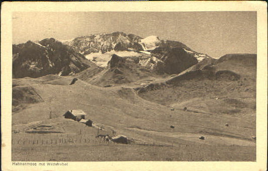 10552111 Hahnenmoos Hahnenmoos  ungelaufen ca. 1920 Hahnenmoos