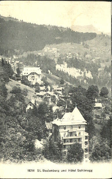 10552266 Beatenberg Hotel ungelaufen ca. 1910 Beatenberg