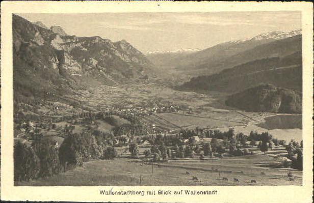 10552778 Wallenstadt Wallenstadt  ungelaufen ca. 1920 Walenstadt