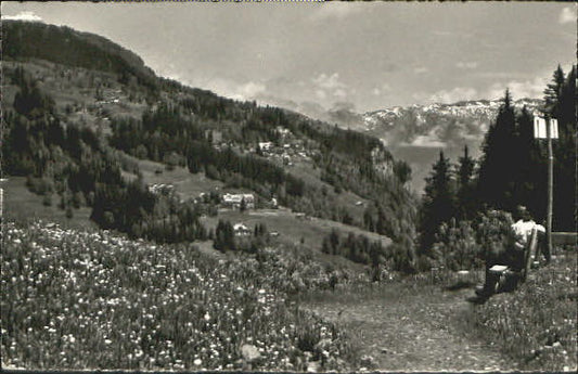 10553723 Braunwald GL Braunwald Glarus x 1949 Braunwald