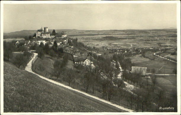 10553867 Regensberg Poste de campagne de Regensberg x 1934