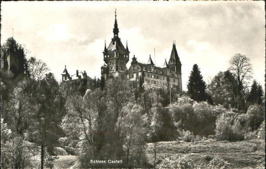 10554855 Taegerwilen Schloss Castell  x 1945 Taegerwilen