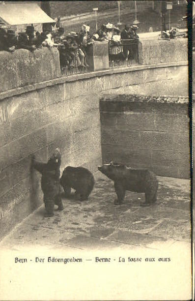 10555146 Bern BE Bern Zoo Baerengraben inutilisé env.