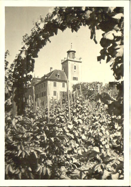 10555873 Maienfeld Schloss Salenegg Maienfeld