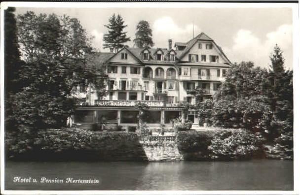 10562314 Hertenstein Hertenstein Hotel Pension x 1939 Hertenstein