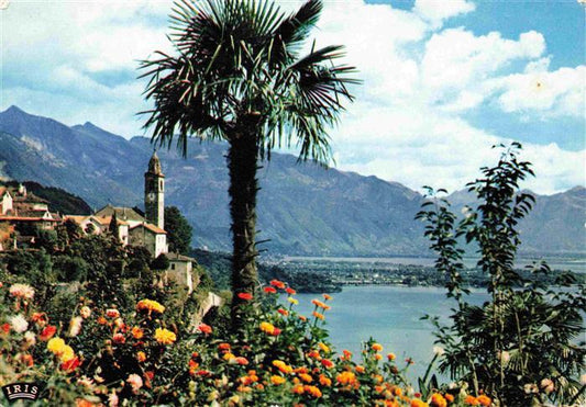 13995533 Ronco Ascona Locarno Lago Maggiore TI Panorama