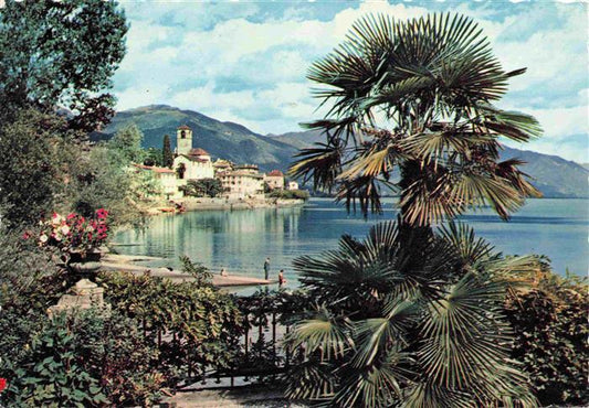 13995534 Brissago Lago Maggiore TI Panorama