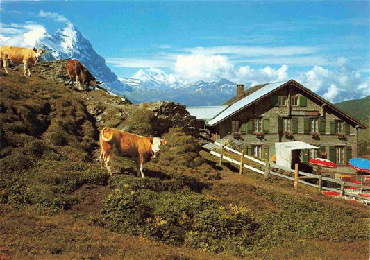 13996718 Grindelwald BE Hotel Grosse Scheidegg mit Eiger