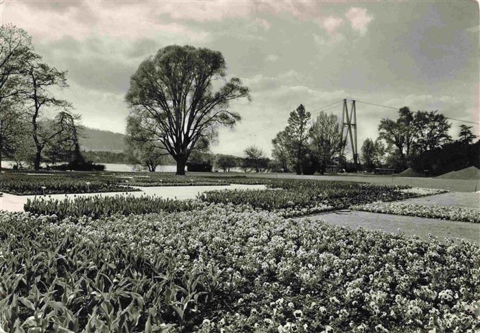 13999139 ZueRICH  ZH Schweizer Gartenbau Ausstellung 1959