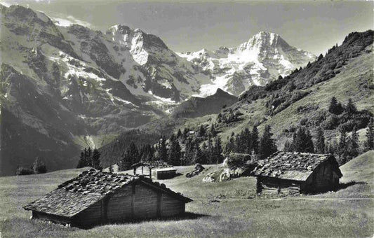 13999846 Muerren BE Bluemental Grosshorn und Breithorn