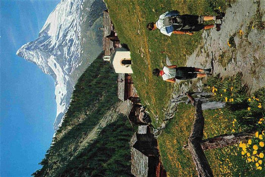 13999961 Zermatt VS Findeln mit Matterhorn Walliser Alpen