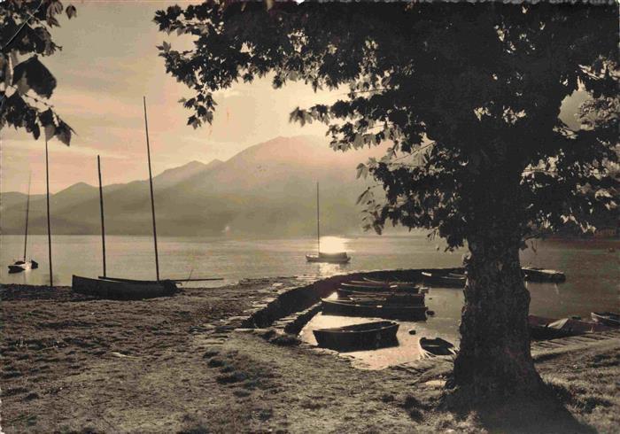 14001974 Ascona Lago Maggiore TI Panorama