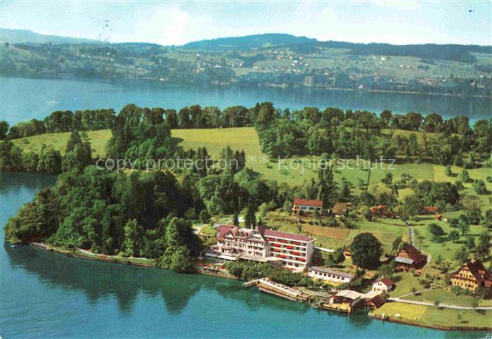 14002363 Hertenstein Vierwaldstaettersee LU Fliegeraufnahme Hotel Jahn