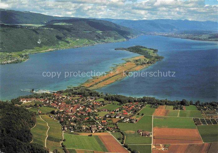 14005081 Erlach Bielersee BE Panorama mit St. Petersinsel