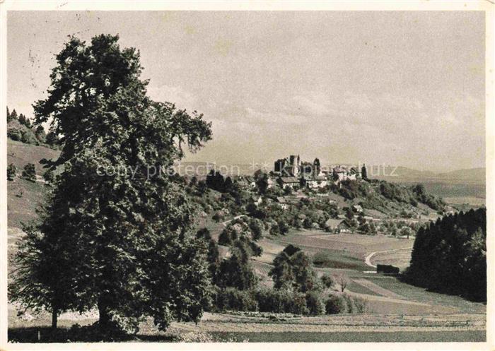 14005365 Regensberg Dielsdorf ZH Blick von der alten Linde