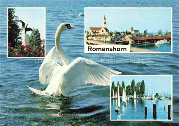 14009534 ROMANSHORN Bodensee TG Skulptur Panorama Segelboote