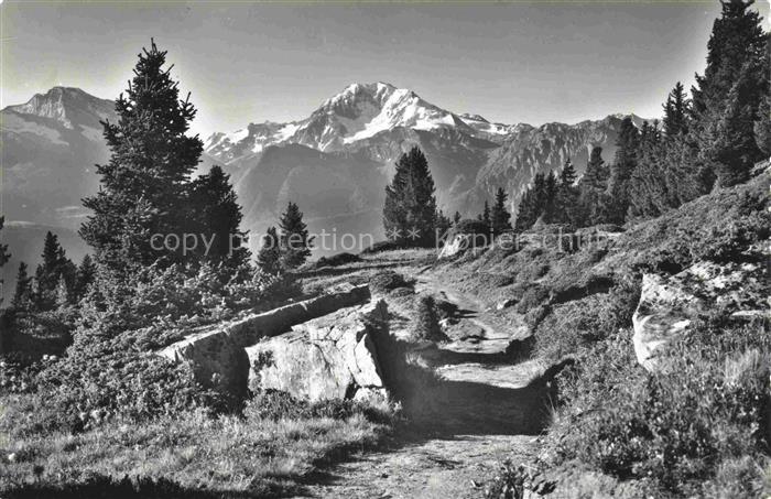 14009596 Riederalp VS Casselweg am Riederhorn Huebschhorn und Fletschhorn