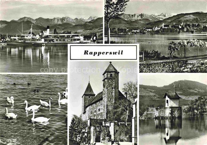 14010078 Rapperswil BE Faehre Schwaene Schloss