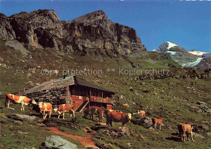 14012334 Kandersteg BE Sennhuette auf Unter-Oeschinenalp mit Rothorn-Fruendenhor