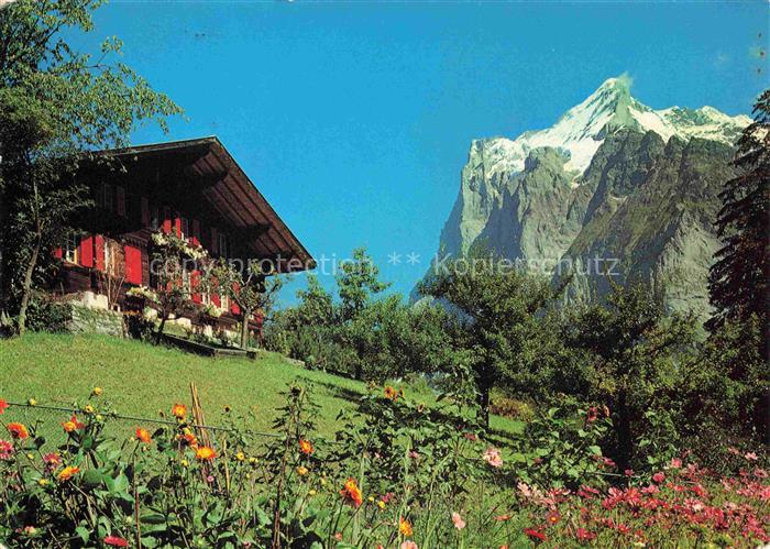 14012585 Grindelwald BE Berghaus Blick gegen Wetterhorn Berner Alpen