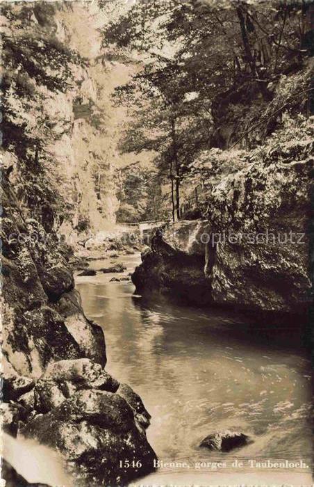 14013404 Biel Bienne BE Taubenlochschlucht