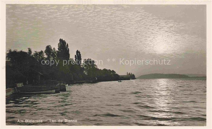 14013432 Bielersee Lac de Bienne BE in der Abendsonne