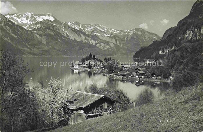 14014475 Iseltwald Interlaken BE Panorama Ort am Brienzersee Brienzerrothorn-Ket