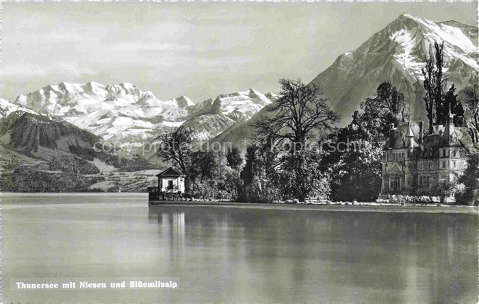 14014935 Thunersee BE mit Niesen und Blueemlisalp