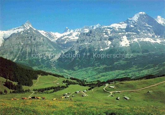 14015148 Grindelwald BE Panorama Bussalp Blick gegen Schreckhorn Finsteraarhorn