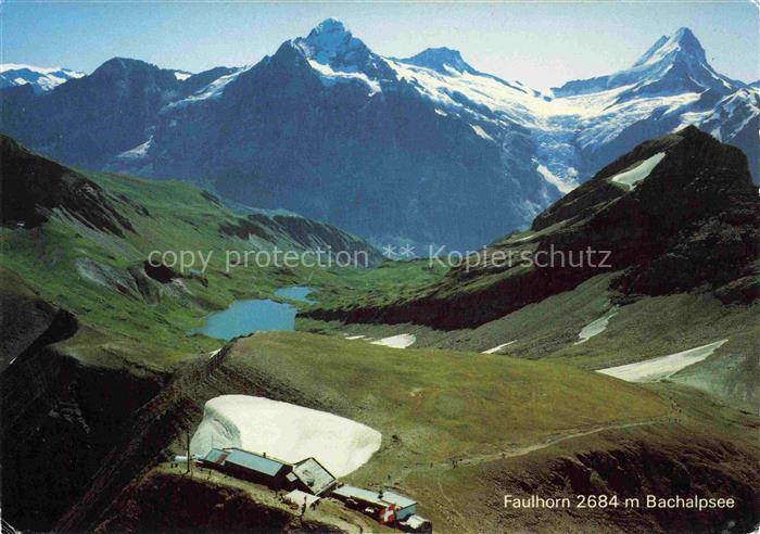 14015173 Bachalpsee BE Alpenpanorama Blick gegen Faulhorn Berner Alpen