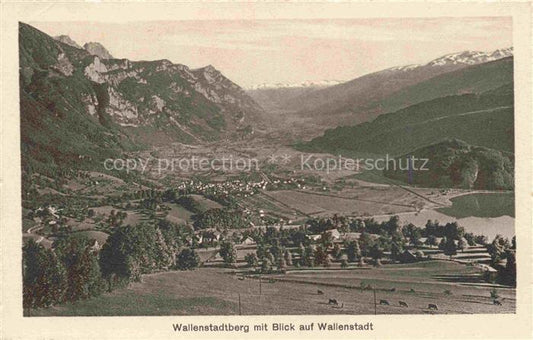 14029141 Wallenstadtberg SG Panorama mit Blick auf Wallenstadt Militaerpost