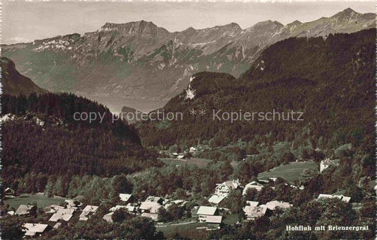 14029167 Hohfluh-Hasliberg Bruenig BE Panorama Brienzergrat Berner Alpen