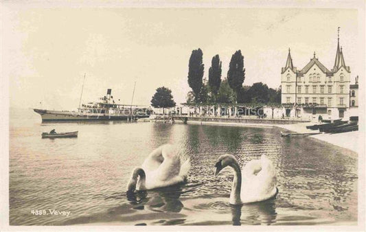 14029188 VEVEY VD Uferpartie am Genfersee Schwaene Fahrgastschiff