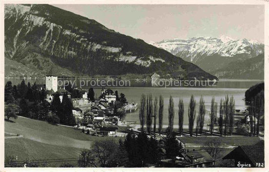 14029200 SPIEZ Thunersee BE Panorama Alpen