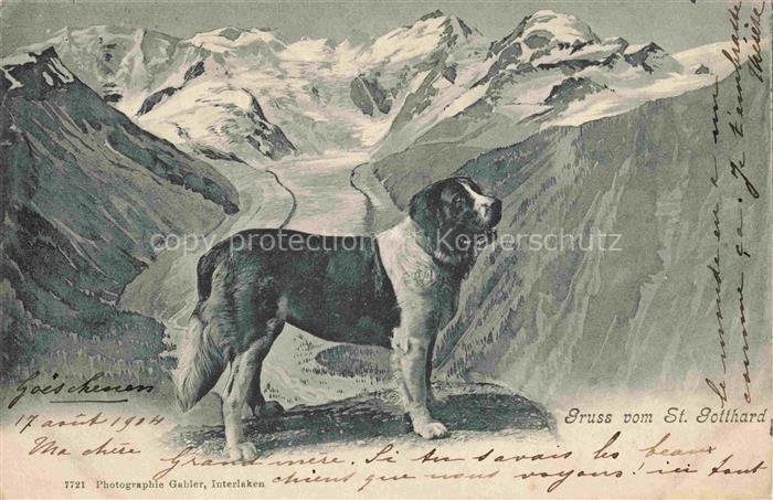 14029620 St Gotthard  San Gottardo TI Gebirgspanorama Bernhardiner Hund