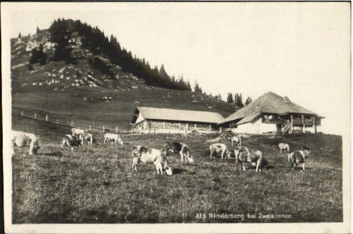 10567727 Rinderberg Rinderberg bei Zweisimmen x 1946 Rinderberg