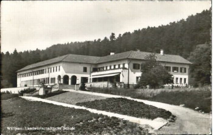 10569228 Willisau Willisau Schule x 1942 Willisau