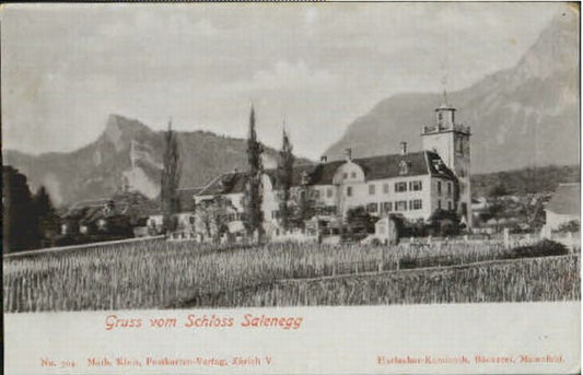 10569413 Maienfeld Schloss Salenegg  ungelaufen ca. 1900 Maienfeld