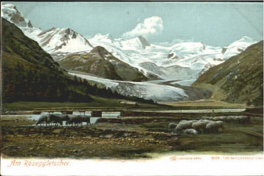 10569872 Samedan Roseggletscher  ungelaufen ca. 1920 Samedan