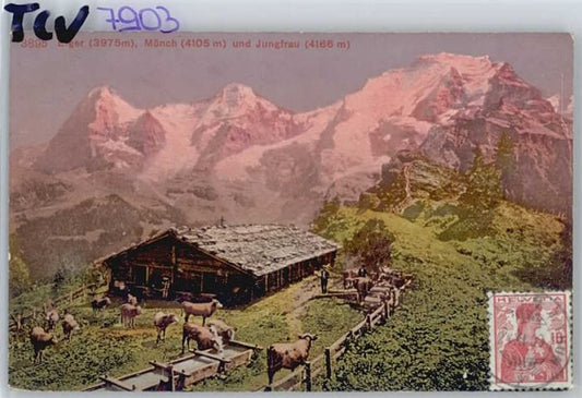 10545169 Moench BE Moench Eiger Jungfrau x Moench BE