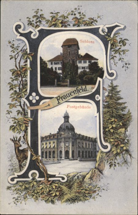 10802461 Frauenfeld Lettres Frauenfeld Ak x Frauenfeld