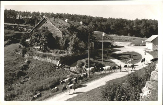 10544478 Weissenstein SO Weissenstein Wirtschaft Sennhaus * Weissenstein b. Solo