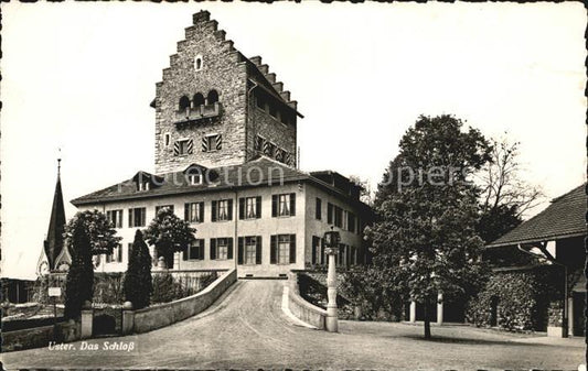 12574936 Uster ZH Château d'Uster