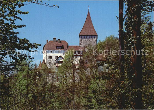 12587171 Weinfelden Château de Weinfelden