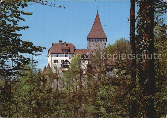 12587506 Weinfelden Château de Weinfelden