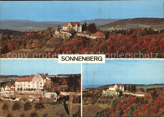 12588389 Stettfurt Schloss Sonnenberg Herbststimmung Fliegeraufnahme Stettfurt