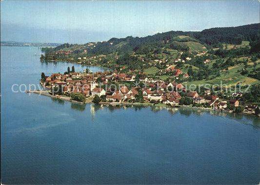 12588399 Berlingen Untersee Bodensee Fliegeraufnahme Berlingen