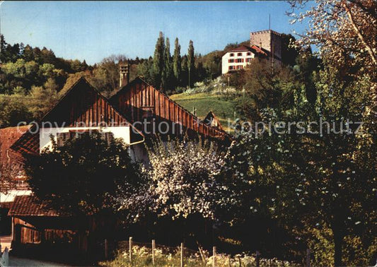 12588683 Weinfelden Château de Baumbluete Weinfelden