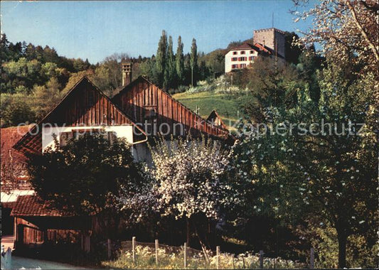 12590919 Weinfelden Château de Weinfelden