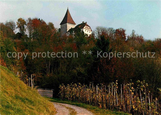 12614872 Weinfelden Château de Weinfelden